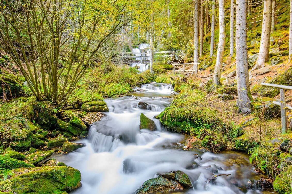 Regional hiking trail Graggerschlucht - Touren-Impression #1 | © Tourismusverband Murau