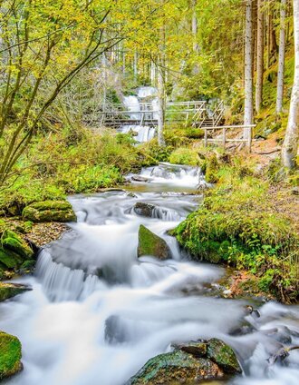Graggerschlucht | René Hochegger | © Tourismusverband Murau