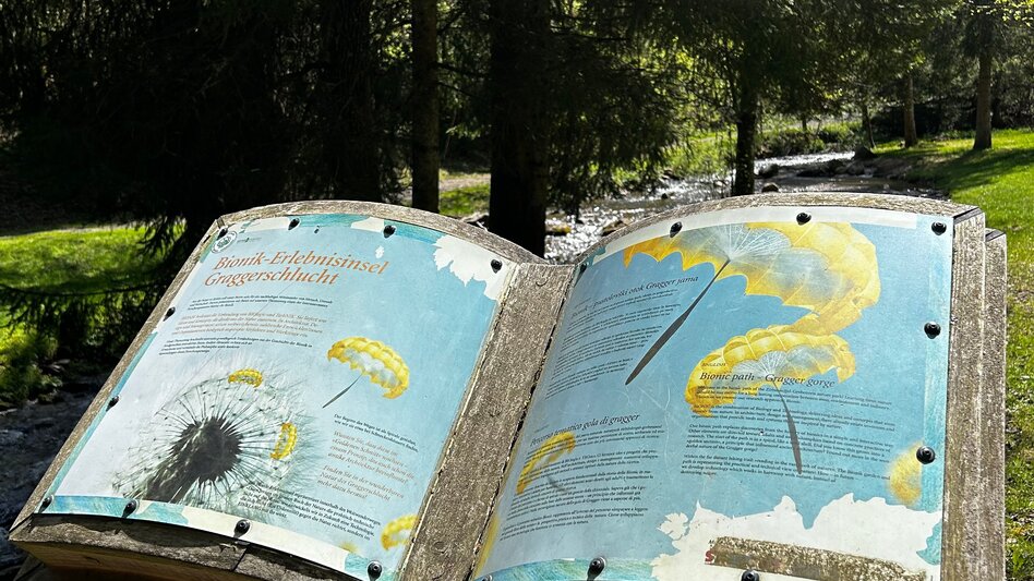 Regional hiking trail Graggerschlucht - Touren-Impression #2.4 | © Tourismusverband Murau