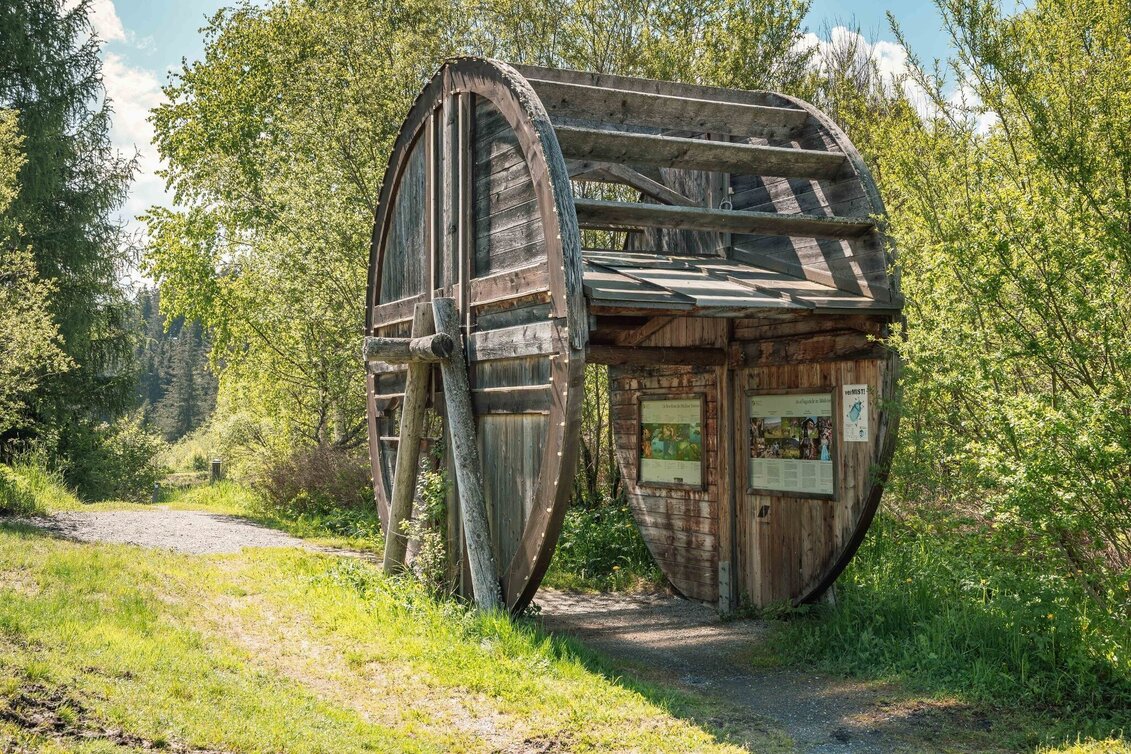 Theme path Adventure mile around the Mühlner bathing lake - Touren-Impression #1 | © Tourismusverband Murau