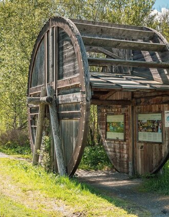 Mühlradl_Badesee Mühlen | René Hochegger | © Tourismusverband Murau