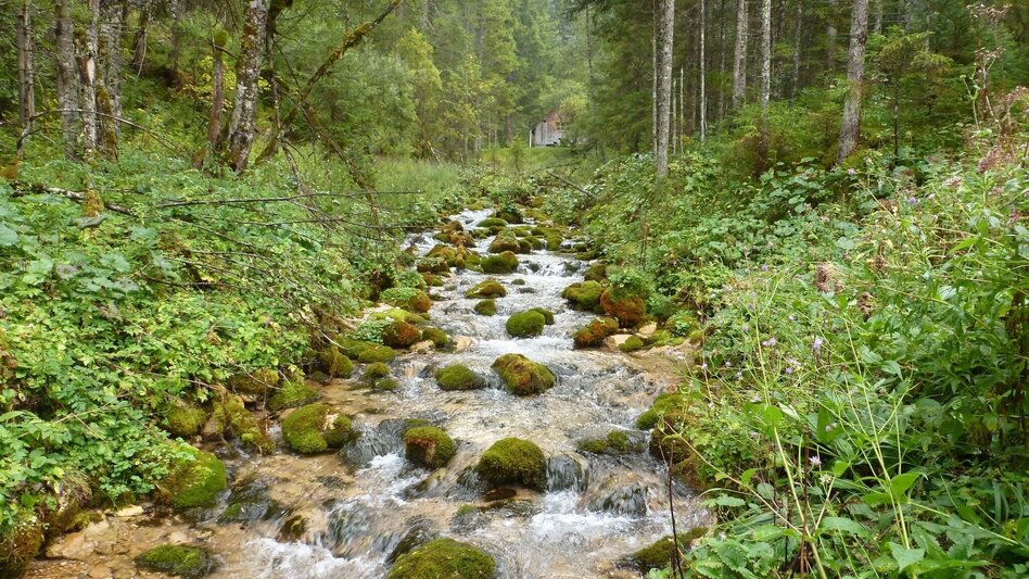 Hiking route Siebenseerunde Wildalpen - Touren-Impression #2.2 | © Tourismusverband Wildalpen
