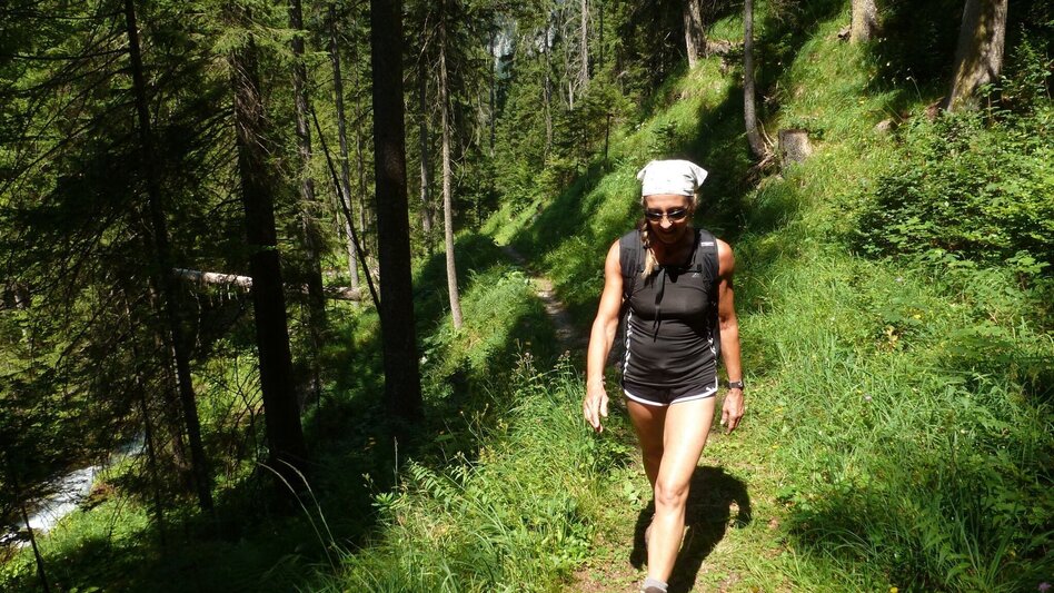 Hiking route Siebenseerunde Wildalpen - Touren-Impression #2.3 | © Tourismusverband Wildalpen