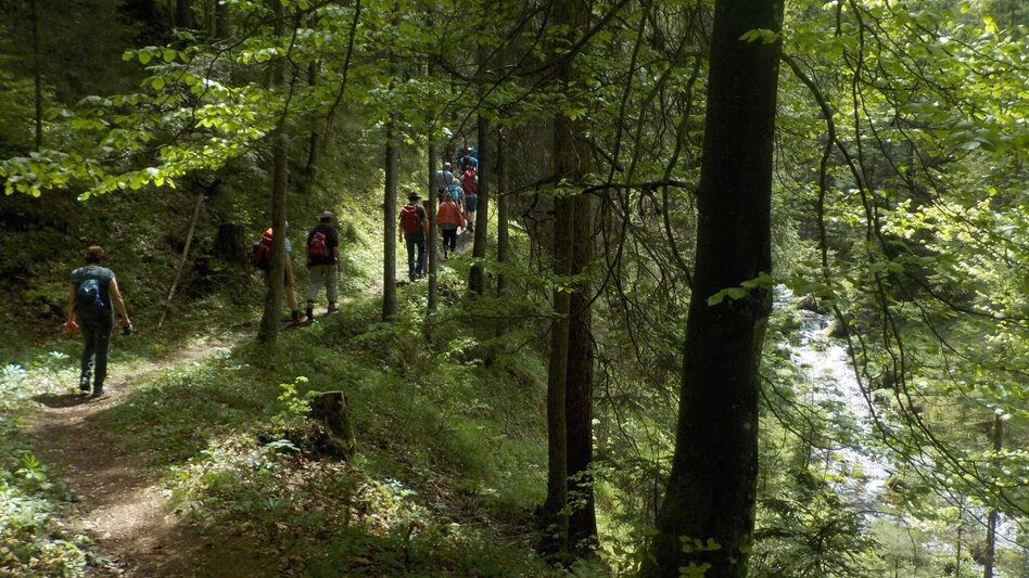 Hiking route Siebenseerunde Wildalpen - Touren-Impression #2.4 | © Tourismusverband Wildalpen