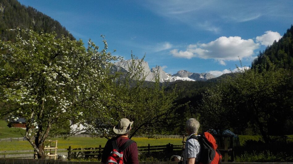 Hiking route Siebenseerunde Wildalpen - Touren-Impression #2.6 | © Tourismusverband Wildalpen