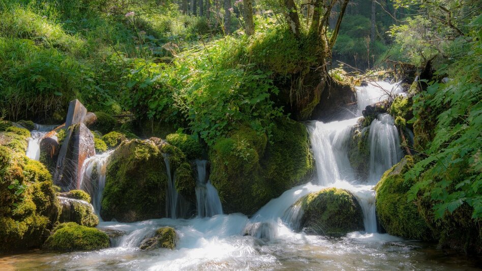 Hiking route Siebenseerunde Wildalpen - Touren-Impression #2.7 | © TV Gesäuse