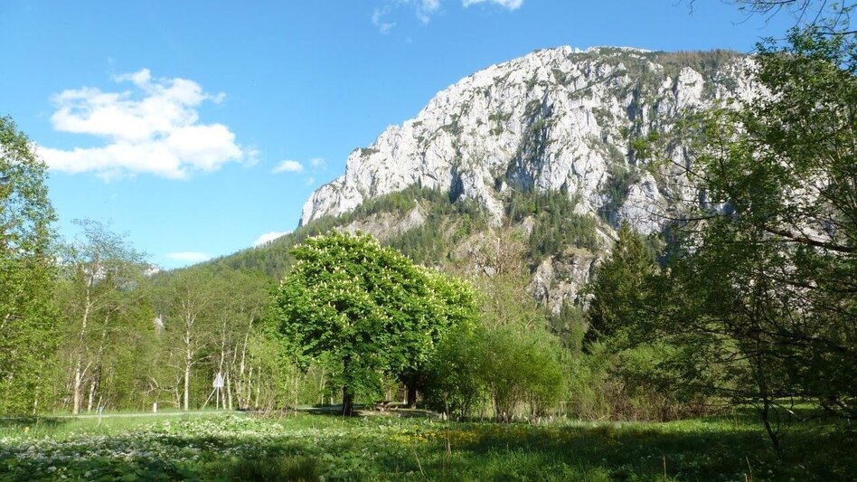 Wanderung Brunntal Wildalpen - Touren-Impression #2.1 | © Tourismusverband Wildalpen