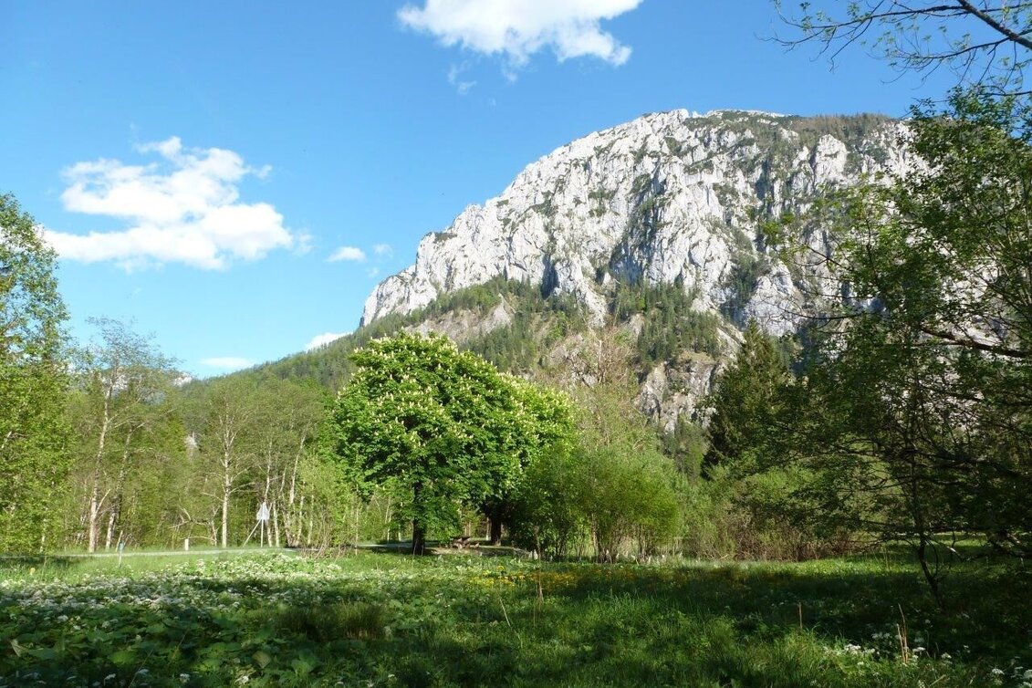 Wanderung Brunntal Wildalpen - Touren-Impression #1 | © Tourismusverband Wildalpen