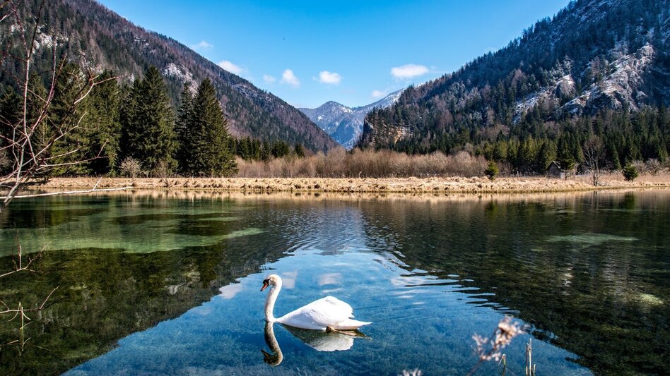 Wanderung Brunntal Wildalpen - Touren-Impression #2.3 | © TV Gesäuse