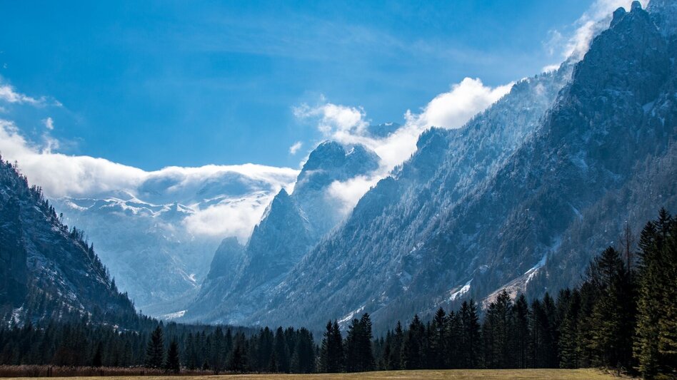 Wanderung Brunntal Wildalpen - Touren-Impression #2.4 | © TV Gesäuse