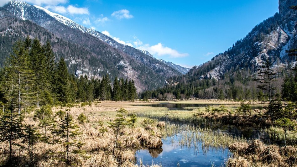 Wanderung Brunntal Wildalpen - Touren-Impression #2.6 | © TV Gesäuse