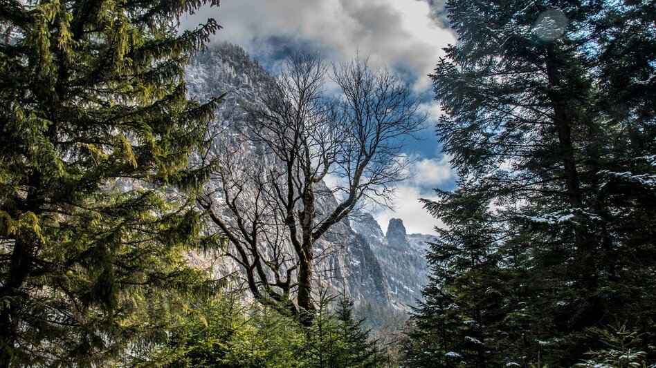 Wanderung Brunntal Wildalpen - Touren-Impression #2.8 | © TV Gesäuse