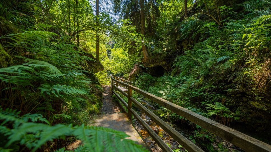 Wanderung St. Lambrechter Klamm - Touren-Impression #2.1 | © TVB Murau