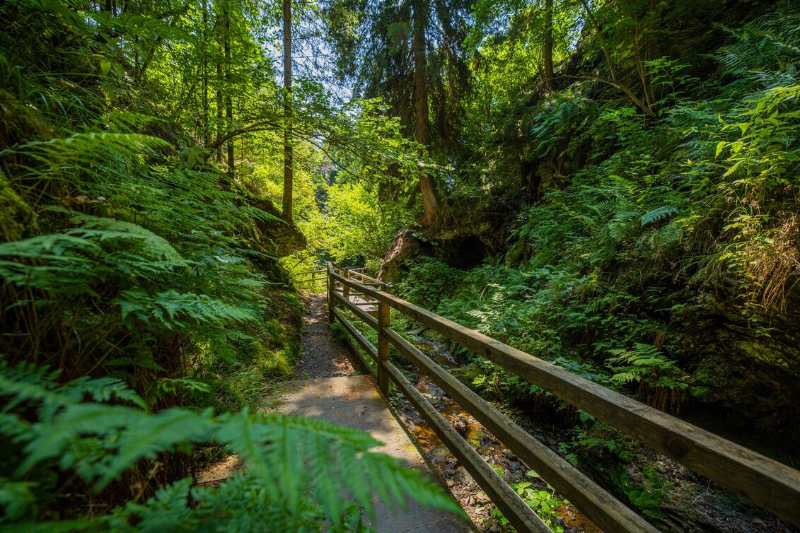 Wanderung St. Lambrechter Klamm - Touren-Impression #1 | © TVB Murau