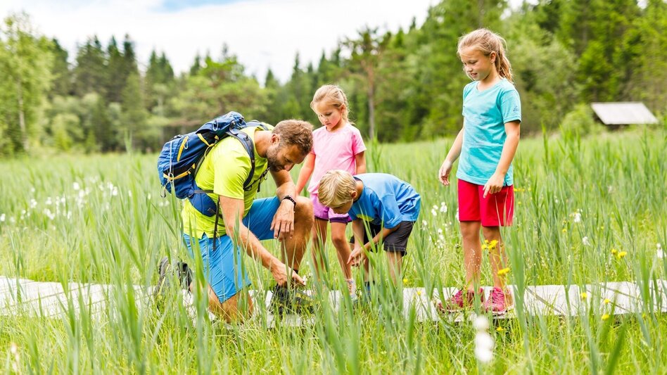 Theme path Dürnberger Moor - Touren-Impression #2.1 | © Tourismusverband Murau