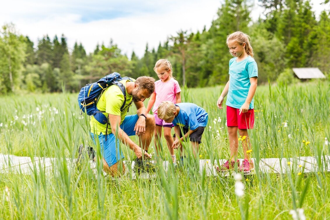 Theme path Dürnberger Moor - Touren-Impression #1 | © Tourismusverband Murau