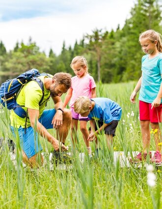 Dürnberger Moor | Mediadome | © Tourismusverband Murau