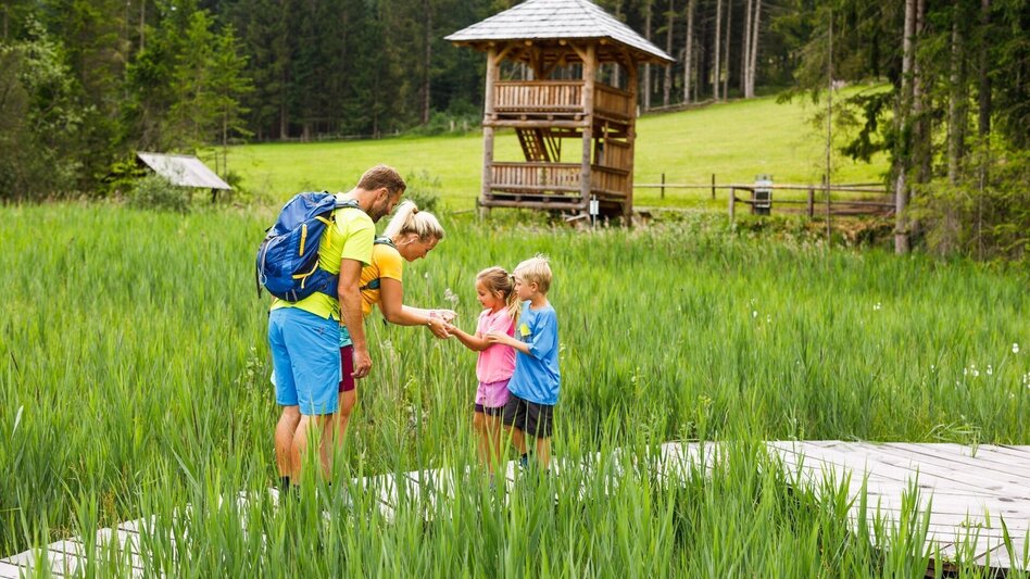 Theme path Dürnberger Moor - Touren-Impression #2.2 | © Tourismusverband Murau