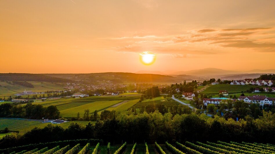 Wanderung smoveyTOUR 3 - Herrschaftswald-Tour 7,8 km - Bad Waltersdorf - Touren-Impression #2.3 | © Bad Waltersdorf