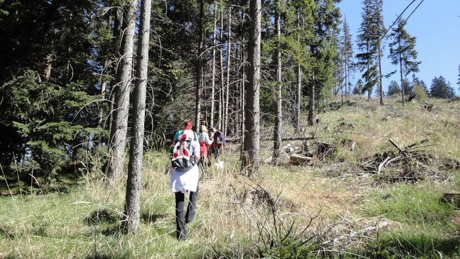 Wanderung R15 Niederschöcklweg - Touren-Impression #2.2 | © Region Graz