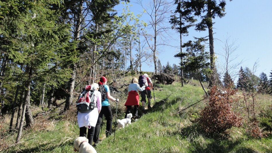 Wanderung R15 Niederschöcklweg - Touren-Impression #2.4 | © Region Graz