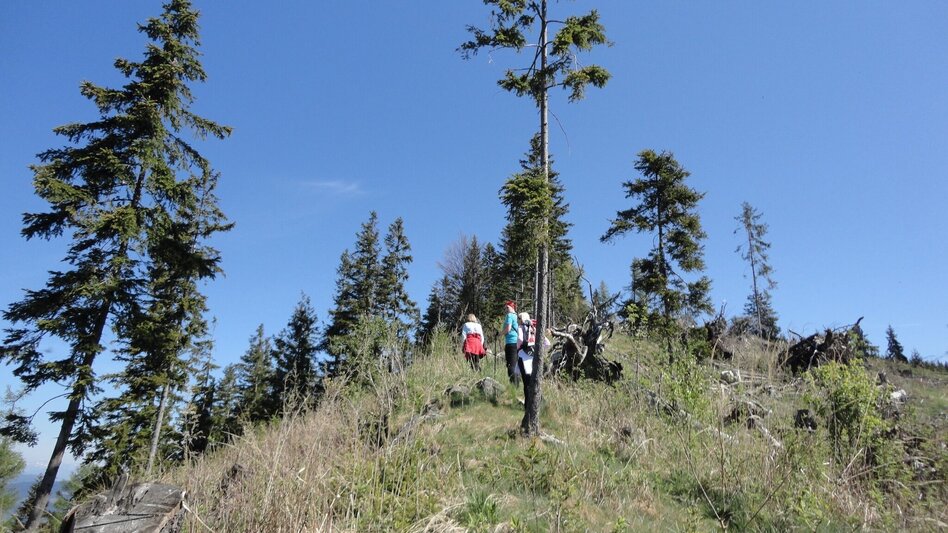 Wanderung R15 Niederschöcklweg - Touren-Impression #2.5 | © Region Graz