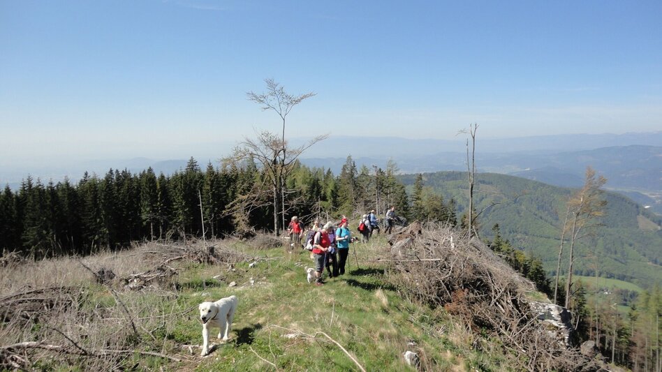 Wanderung R15 Niederschöcklweg - Touren-Impression #2.3 | © Region Graz