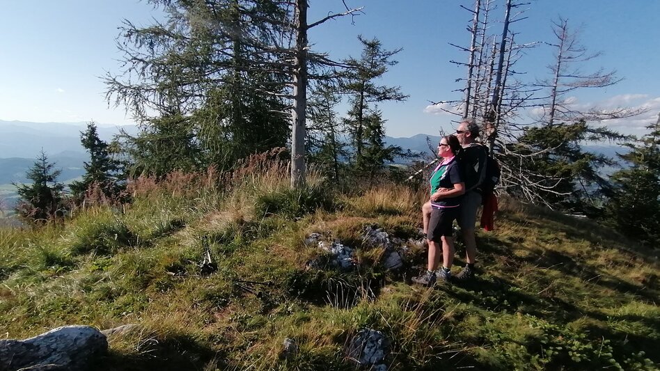 Wanderung R15 Niederschöcklweg - Touren-Impression #2.1 | © Region Graz