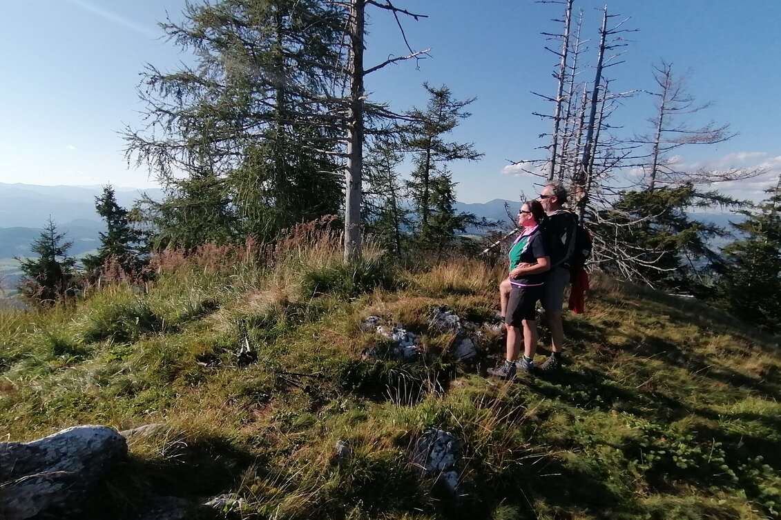 Wanderung R15 Niederschöcklweg - Touren-Impression #1 | © Region Graz