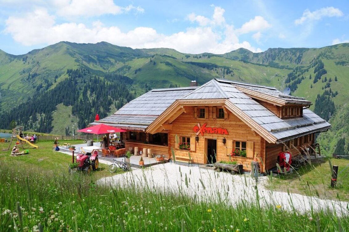 Hiking route Bike & Hike Riesneralm via Oxenalm - Touren-Impression #1 | © Erlebnisregion Schladming-Dachstein