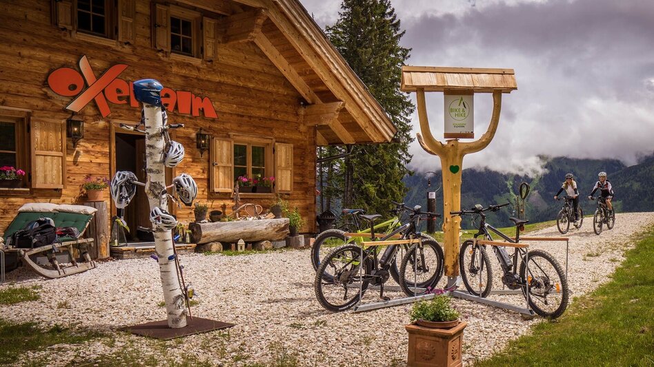 Hiking route Bike & Hike Riesneralm via Oxenalm - Touren-Impression #2.2 | © Erlebnisregion Schladming-Dachstein