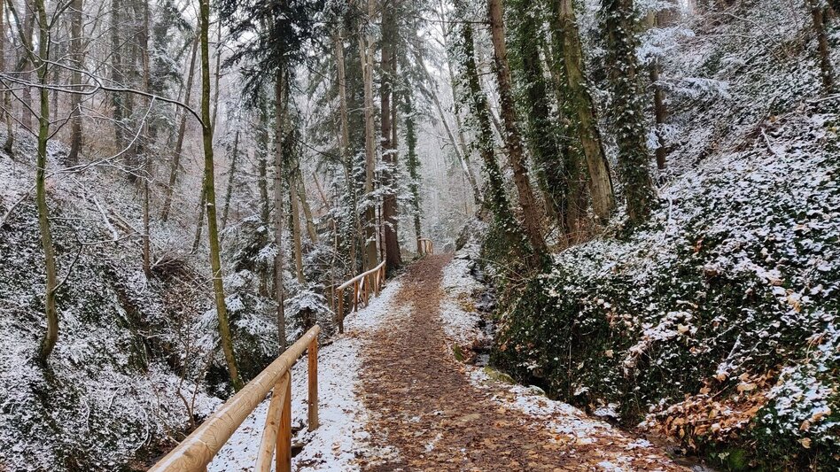Wanderung Ringwarte-Runde, Hartberg - Touren-Impression #2.18 | © Oststeiermark Tourismus