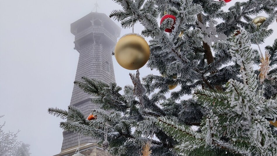 Wanderung Ringwarte-Runde, Hartberg - Touren-Impression #2.19 | © Oststeiermark Tourismus
