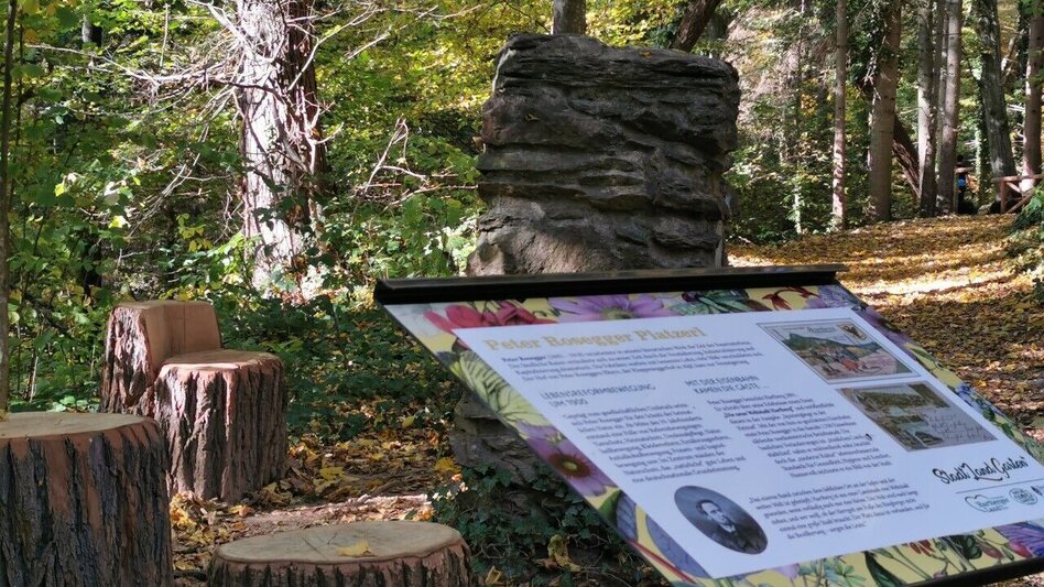 Wanderung Ringwarte-Runde, Hartberg - Touren-Impression #2.2 | © Stadtmarketing Hartberg