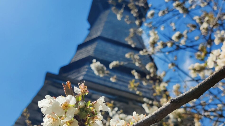 Wanderung Ringwarte-Runde, Hartberg - Touren-Impression #2.1 | © Oststeiermark Tourismus