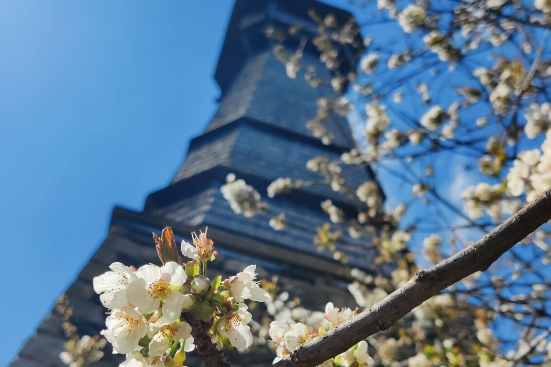 Wanderung Ringwarte-Runde, Hartberg - Touren-Impression #1 | © Oststeiermark Tourismus
