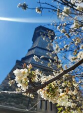 Ringwarte Hartberg in Eastern Styria | © Oststeiermark Tourismus | XNicole Friesenbichler | © Oststeiermark Tourismus