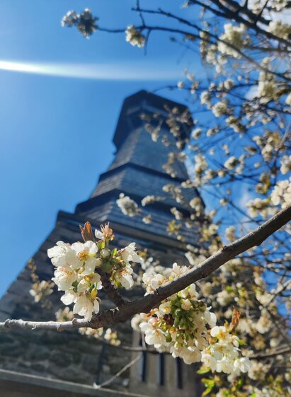 Ringwarte Hartberg in der Oststeiermark | © Oststeiermark Tourismus | XNicole Friesenbichler | © Oststeiermark Tourismus