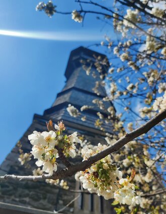 Ringwarte Hartberg in der Oststeiermark | XNicole Friesenbichler | © Oststeiermark Tourismus