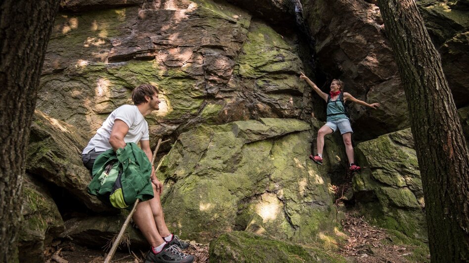 Wanderung Ringwarte-Runde, Hartberg - Touren-Impression #2.15 | © Oststeiermark Tourismus