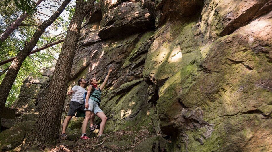 Wanderung Ringwarte-Runde, Hartberg - Touren-Impression #2.16 | © Oststeiermark Tourismus