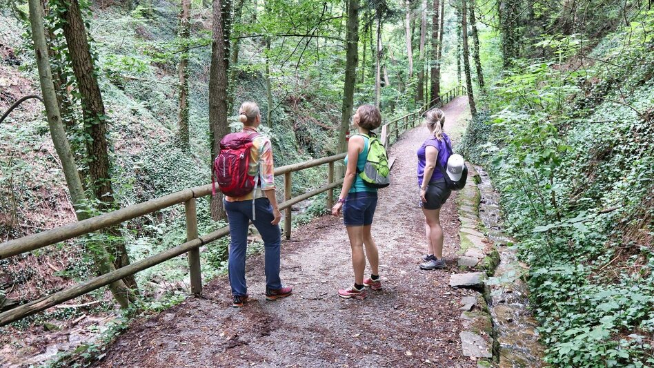 Wanderung Ringwarte-Runde, Hartberg - Touren-Impression #2.8 | © Weges OG