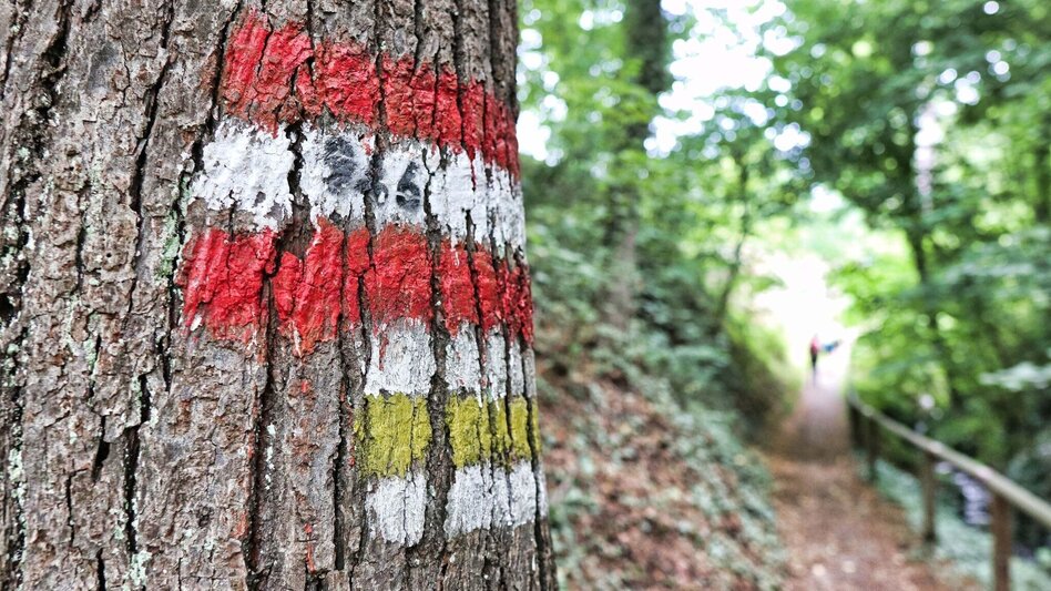 Wanderung Ringwarte-Runde, Hartberg - Touren-Impression #2.6 | © Weges OG