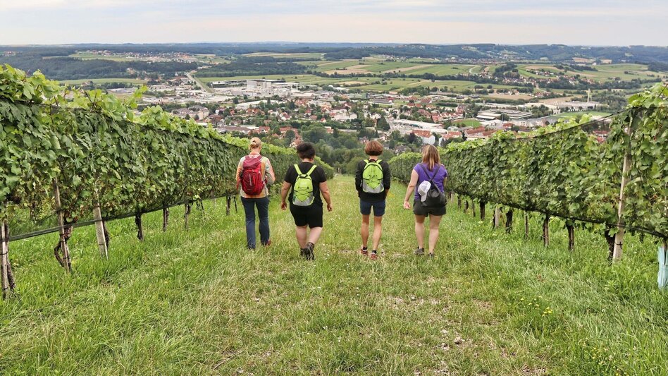 Wanderung Ringwarte-Runde, Hartberg - Touren-Impression #2.14 | © Weges OG