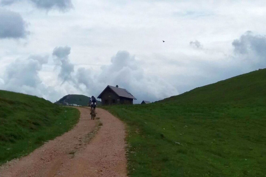 Mountain Biking Mountain Biking Tour over the Mürzsteg Alpine Pastures in the Mürzer Oberland Nature Park - Touren-Impression #1 | © TV Hochsteiermark