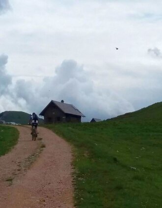 Kurz vor der Dürrieglalm | Daniela Paul | © TV Hochsteiermark