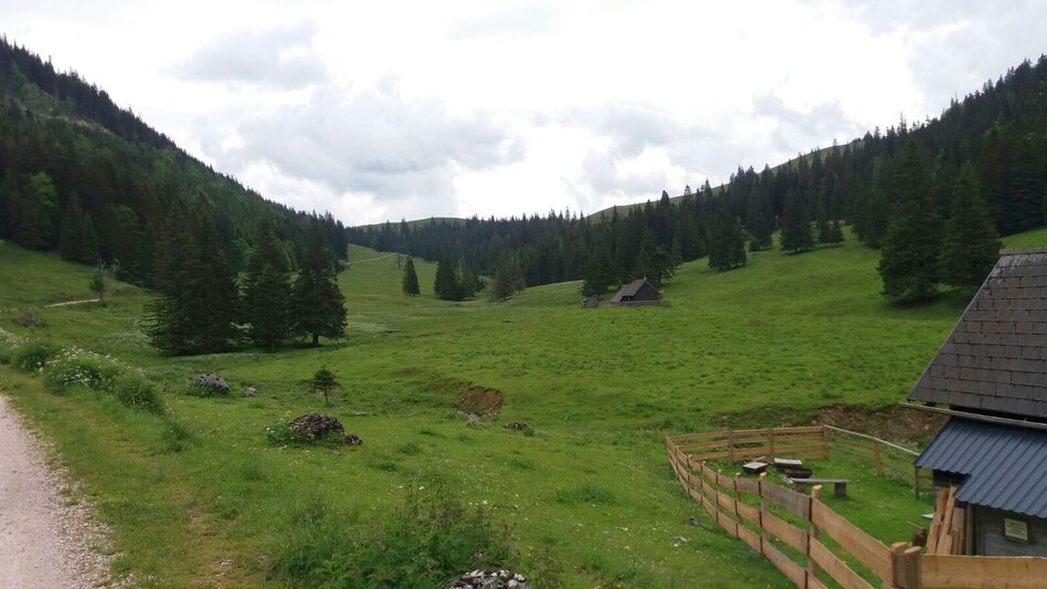 Mountain Biking Mountain Biking Tour over the Mürzsteg Alpine Pastures in the Mürzer Oberland Nature Park - Touren-Impression #2.2 | © TV Hochsteiermark