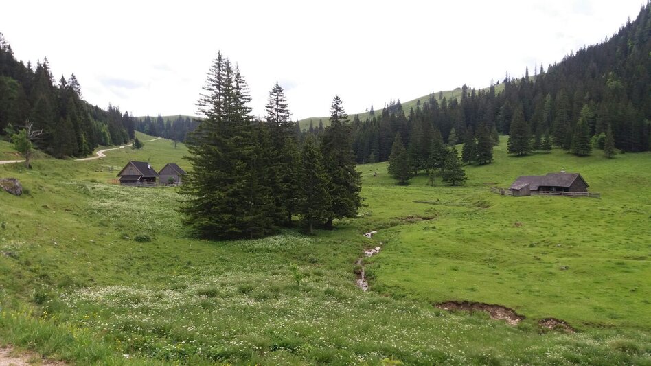Mountain Biking Mountain Biking Tour over the Mürzsteg Alpine Pastures in the Mürzer Oberland Nature Park - Touren-Impression #2.4 | © TV Hochsteiermark