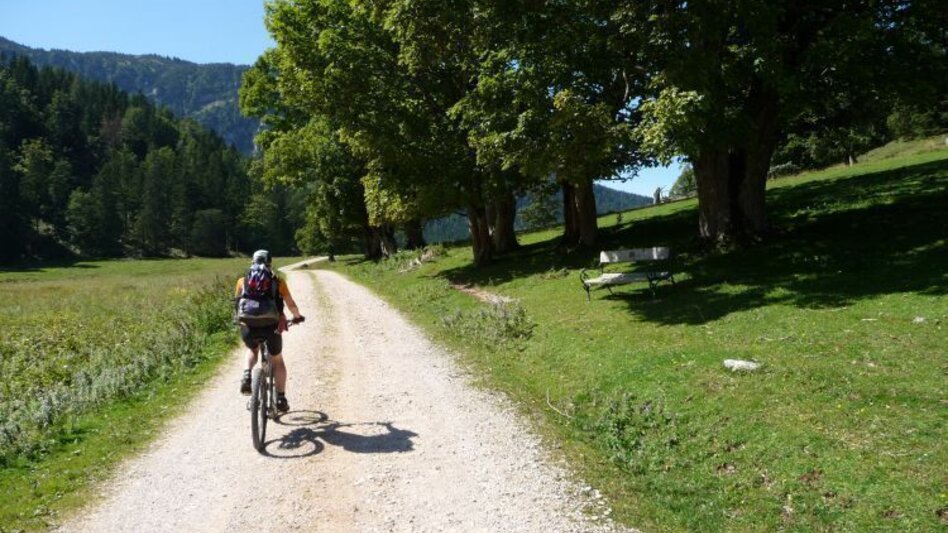 Mountain Biking Mountain Biking Tour over the Mürzsteg Alpine Pastures in the Mürzer Oberland Nature Park - Touren-Impression #2.5 | © TV Hochsteiermark