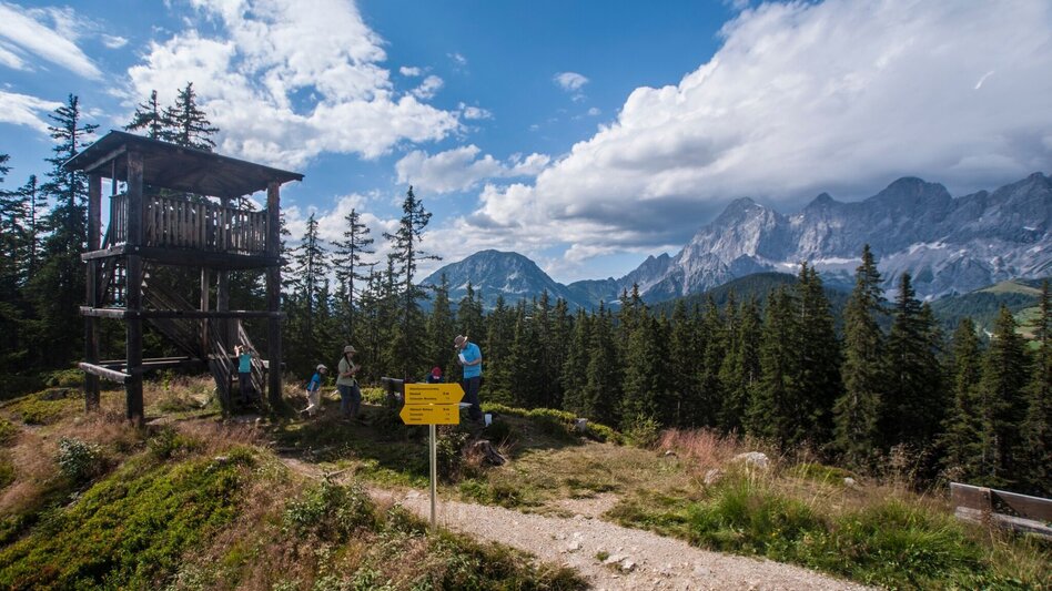 Hiking route Rittispanorama trail - Touren-Impression #2.4 | © Gerhard Pilz - www.gpic.at